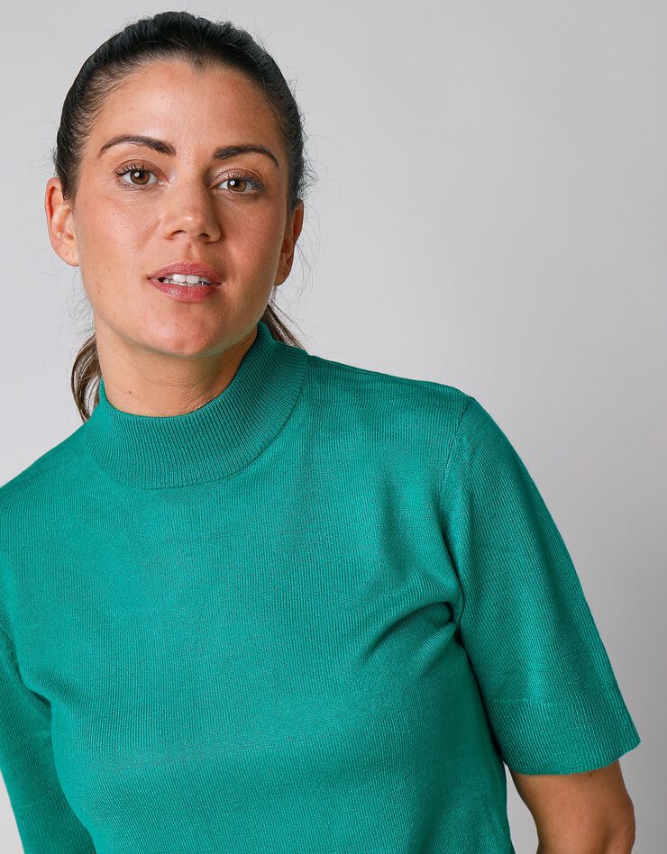 Pull col montant manches courtes toucher cachemire (vert pomme) Pull col montant manches courtes toucher cachemire (vert pomme)