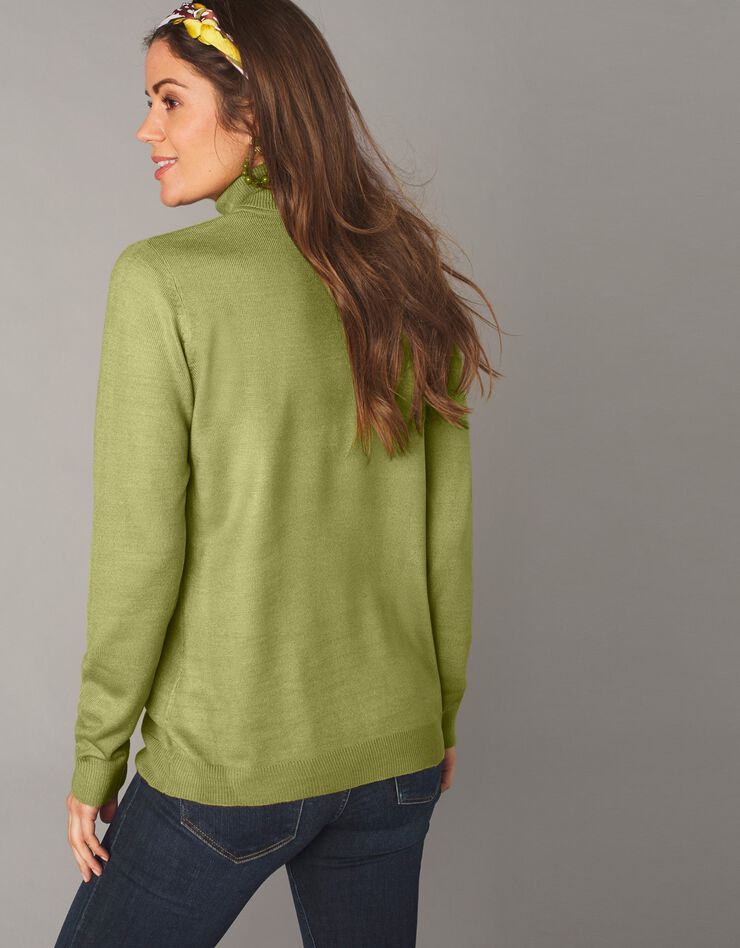 Pull col roulé toucher cachemire (vert mousse) Pull col roulé toucher cachemire (vert mousse)