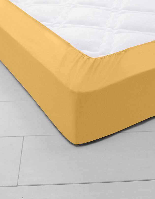 Drap-housse uni jersey bonnet 40 cm (curry)