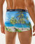 Boxer imprimé microfibre stretch - lot de 2 (vert)