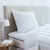 Oreiller plumes (blanc)
