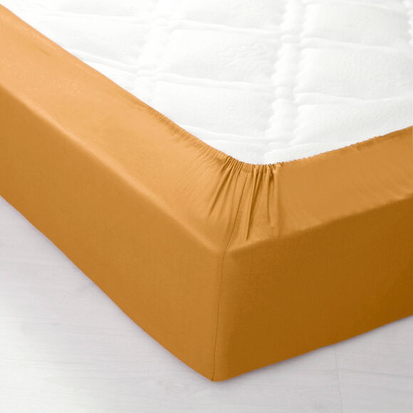 Drap-housse uni coton bonnet 32 cm (miel)