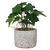 Plante artificielle et pot en ciment (gris)