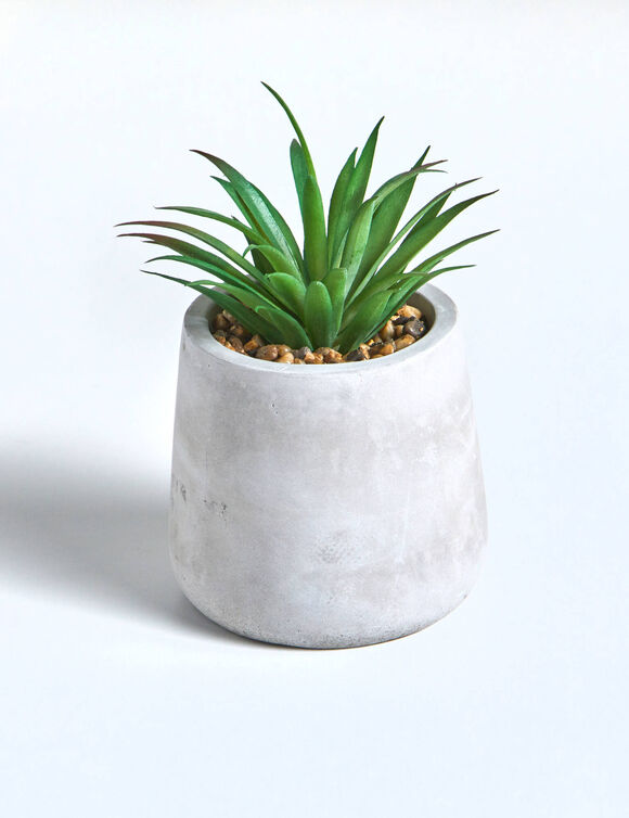 Plante artificielle et pot en ciment (gris)