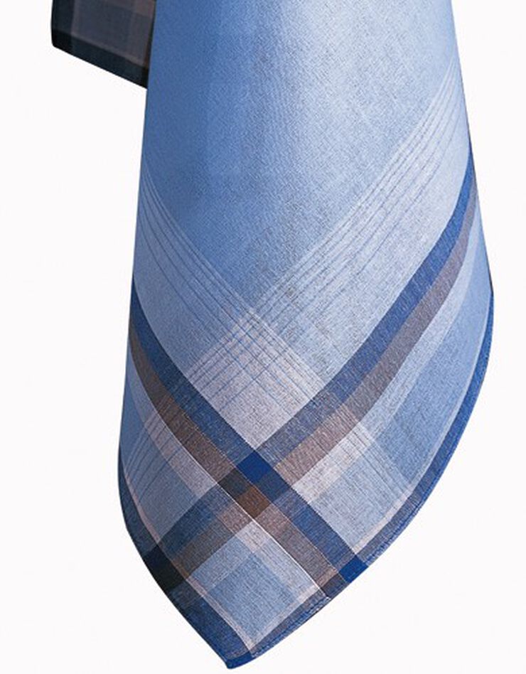 Mouchoir carreaux homme Tom - lot de 12 (assortis) Mouchoir carreaux homme Tom - lot de 12 (assortis)