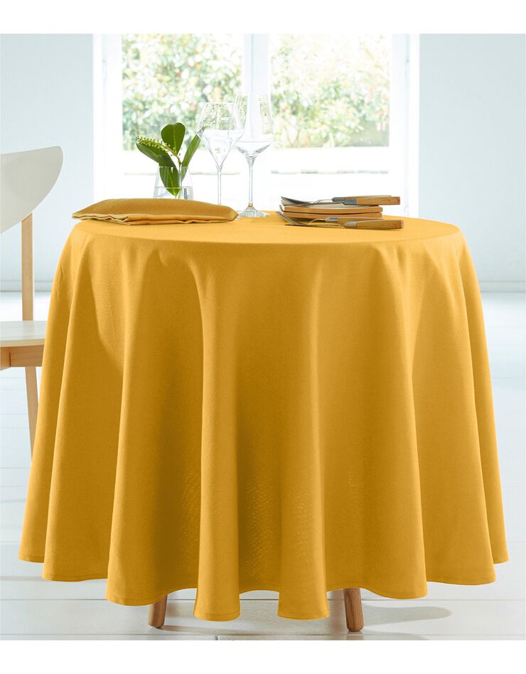 Nappe aspect lin (curry) Nappe aspect lin (curry)