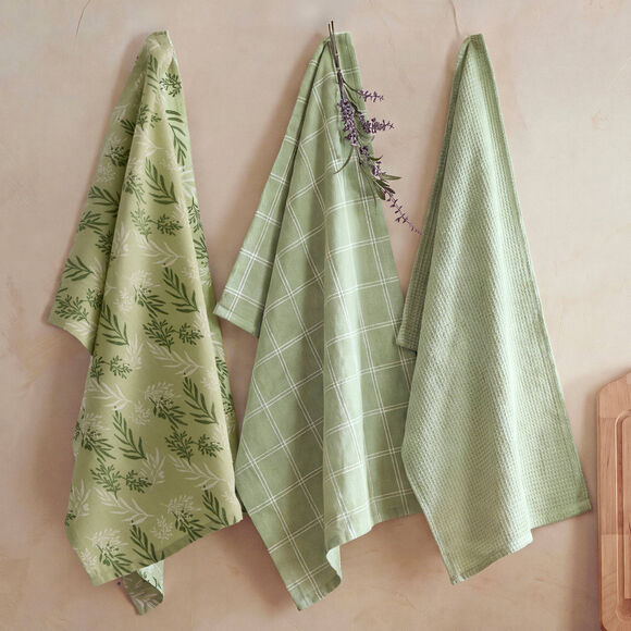 Torchons assortis coton vert sauge - lot de 3 (vert sauge)