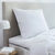 Oreiller plumes (blanc)