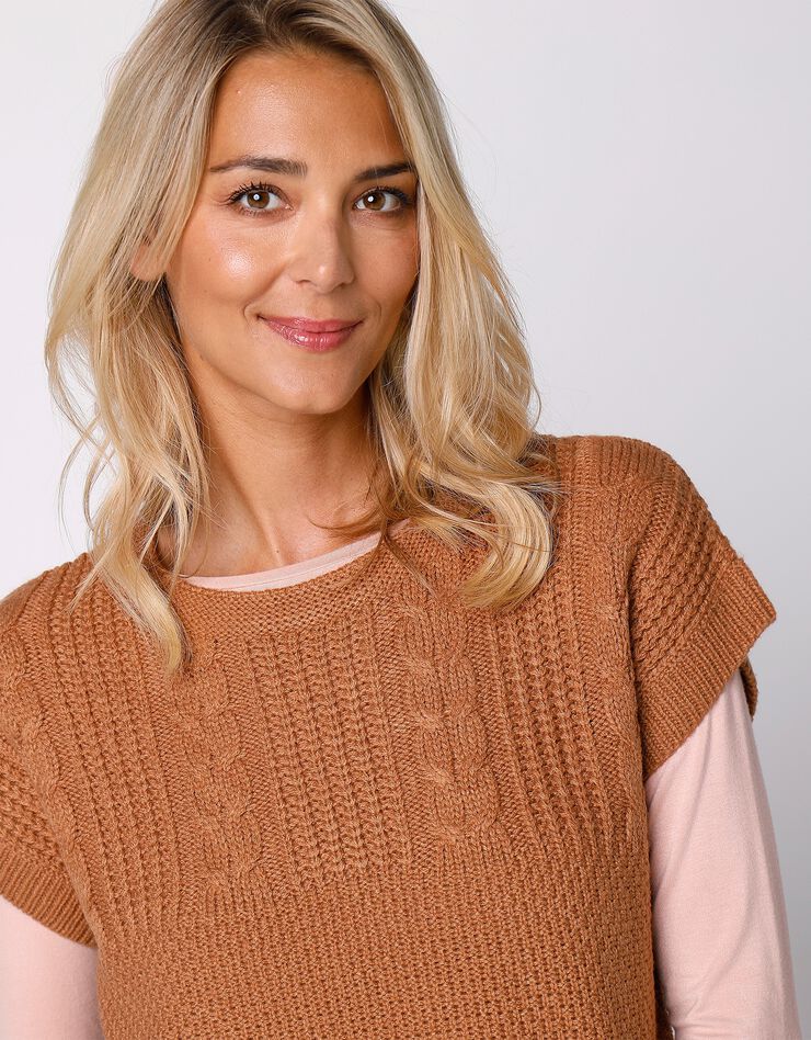 Pull manches courtes maille fantaisie (noisette) Pull manches courtes maille fantaisie (noisette)