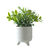 Plante artificielle en pot blanc strié (naturel)