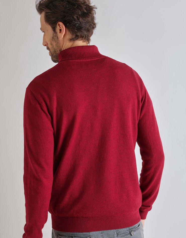 Pull col roulé en laine mélangée (rouge carmin) Pull col roulé en laine mélangée (rouge carmin)
