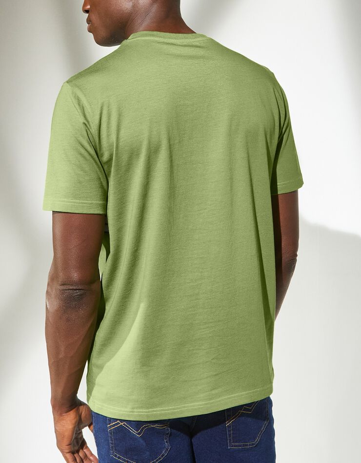 Tee-shirt rayé manches courtes (vert)