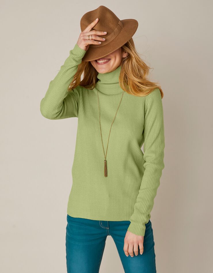 Pull col roulé uni maille côtelée (vert amande) Pull col roulé uni maille côtelée (vert amande)