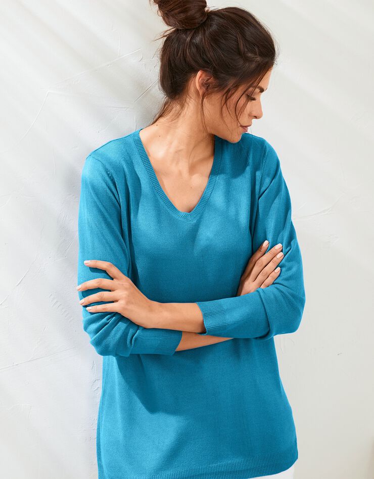 Pull col V toucher cachemire (bleu prusse) Pull col V toucher cachemire (bleu prusse)