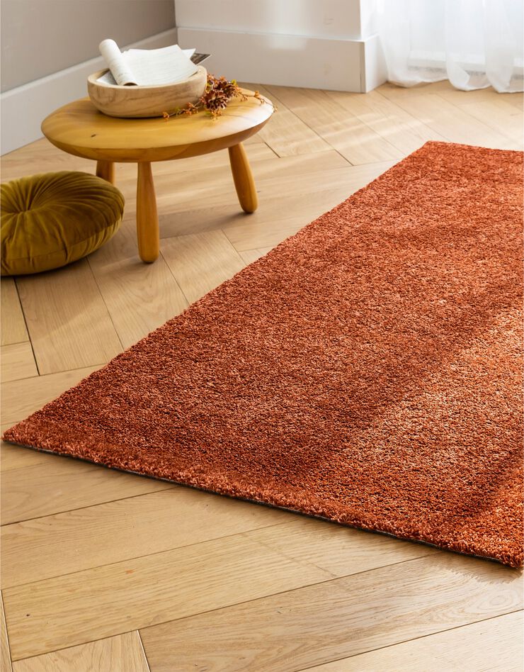 Tapis douceur et confort (terracotta)