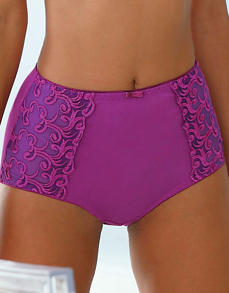 Gainette ventre plat microfibre tulle brodé Sienne - lot de 2 (lilas + blanc) Gainette ventre plat microfibre tulle brodé Sienne - lot de 2 (lilas + blanc)