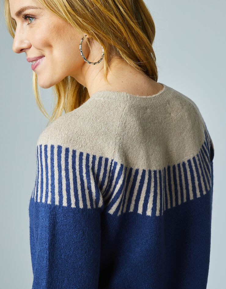 La robe-pull jacquard bicolore manches longues (indigo) La robe-pull jacquard bicolore manches longues (indigo)