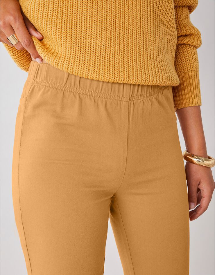 Pantalon sculptant effet ventre plat taille élastiquée (miel) Pantalon sculptant effet ventre plat taille élastiquée (miel)