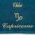 Serviettes de bain brod&eacute;es signe astrologique, &agrave; personnaliser - 420g/m2 (capricorne)