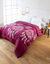 Couette coton imprim&eacute; Tea 400 g/m&sup2; (prune)