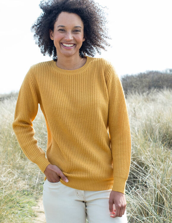 Pull col rond maille anglaise (curry)