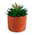 Plante verte artificielle et pot en ciment (terracotta)