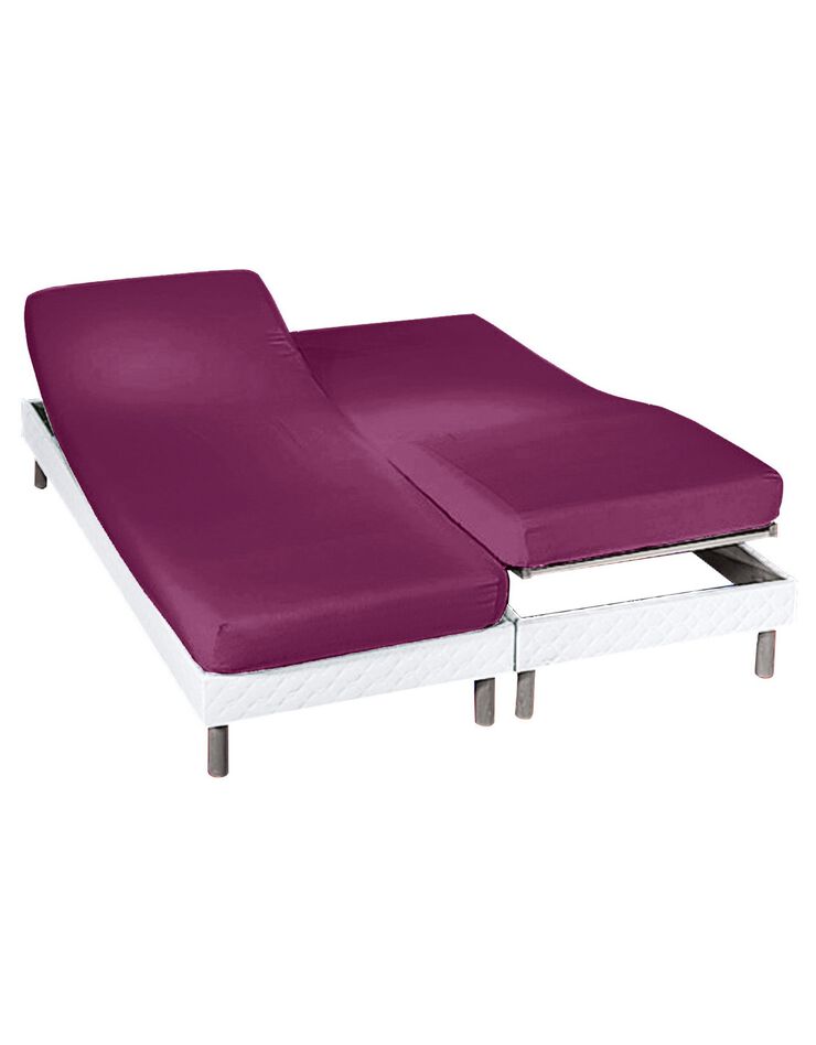 Drap-housse uni sommier articulé flanelle bonnets 26 cm (prune)