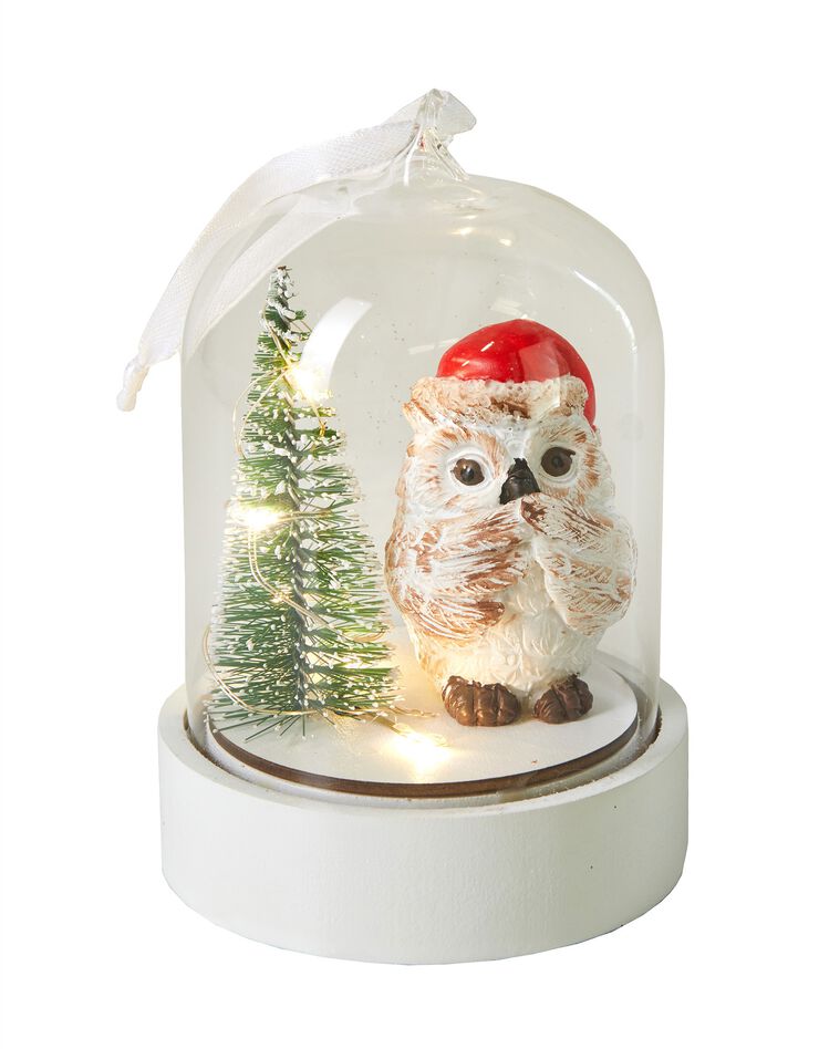 Globe de Noël lumineux. (blanc)