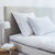 Oreiller plumes (blanc)