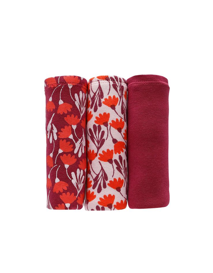 Culotte taille haute coton stretch imprimé " fleurs"  et dentelle - lot de 3 (prune / corail)