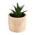 Plante verte artificielle et pot en ciment (beige)