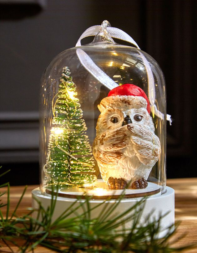 Globe de Noël lumineux. (blanc)