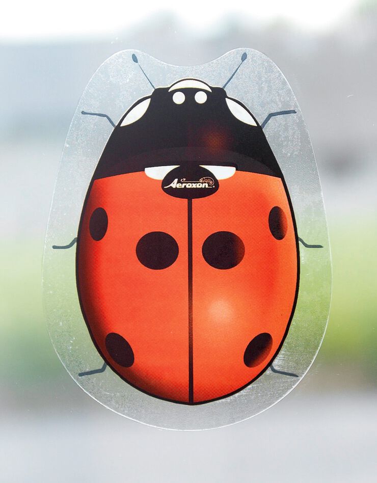 Coccinelle adhésive anti-insectes - lot de 4 (coccinelle) Coccinelle adhésive anti-insectes - lot de 4 (coccinelle)