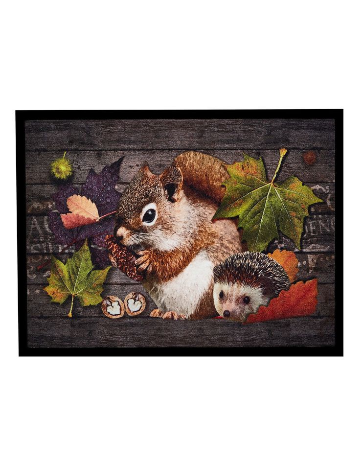 Tapis anti-poussière motif écureuil hérisson (unique) Tapis anti-poussière motif écureuil hérisson (unique)