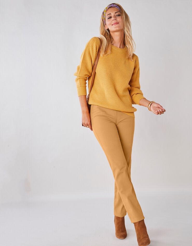 Pantalon sculptant effet ventre plat taille élastiquée (miel) Pantalon sculptant effet ventre plat taille élastiquée (miel)