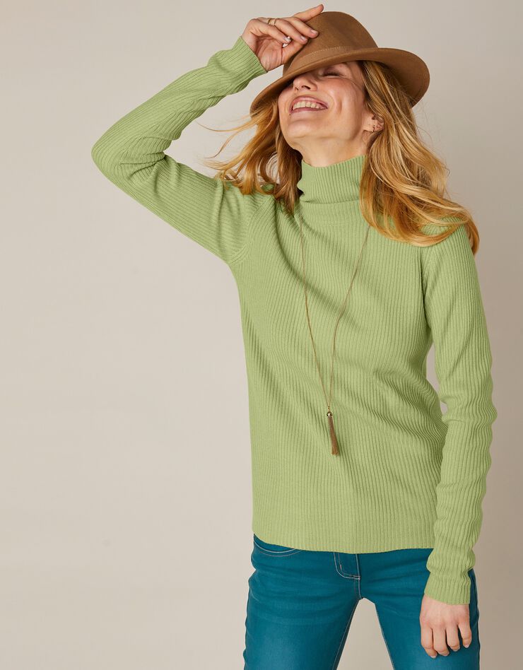 Pull col roulé uni maille côtelée (vert amande) Pull col roulé uni maille côtelée (vert amande)