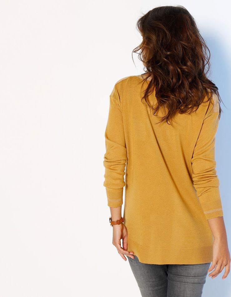 Pull marinière uni, toucher cachemire détails brillants (miel) Pull marinière uni, toucher cachemire détails brillants (miel)