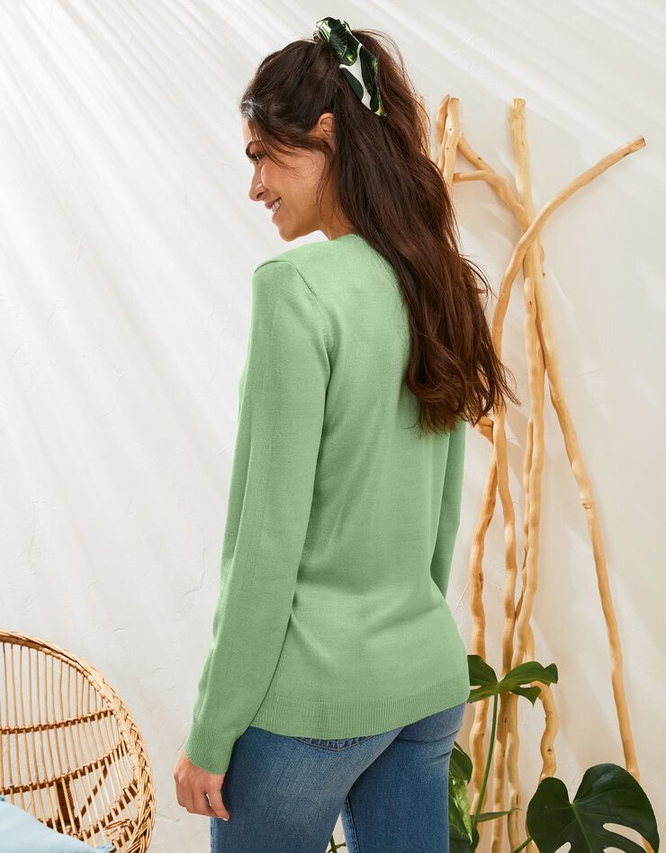 Pull col rond uni toucher cachemire (vert clair) Pull col rond uni toucher cachemire (vert clair)