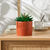 Plante verte artificielle et pot en ciment (terracotta)
