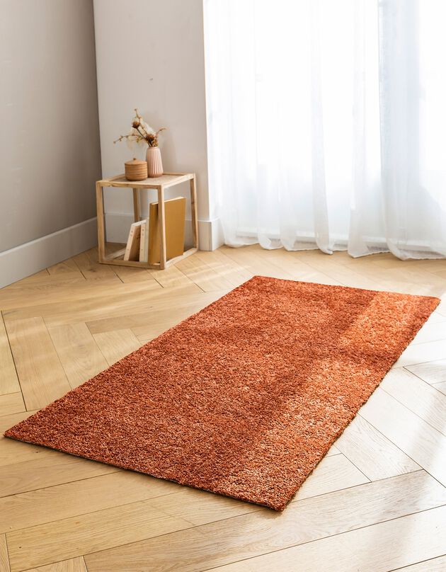 Tapis douceur et confort (terracotta)