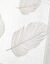 Vitrage passe-tringle motif plumes (blanc)