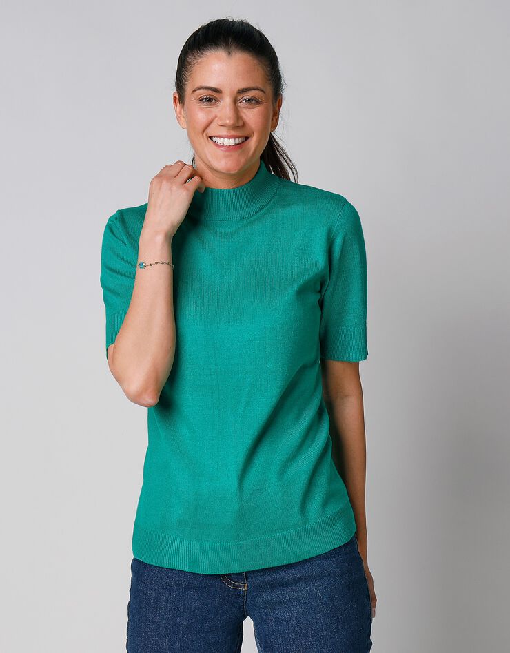 Pull col montant manches courtes toucher cachemire (vert pomme)