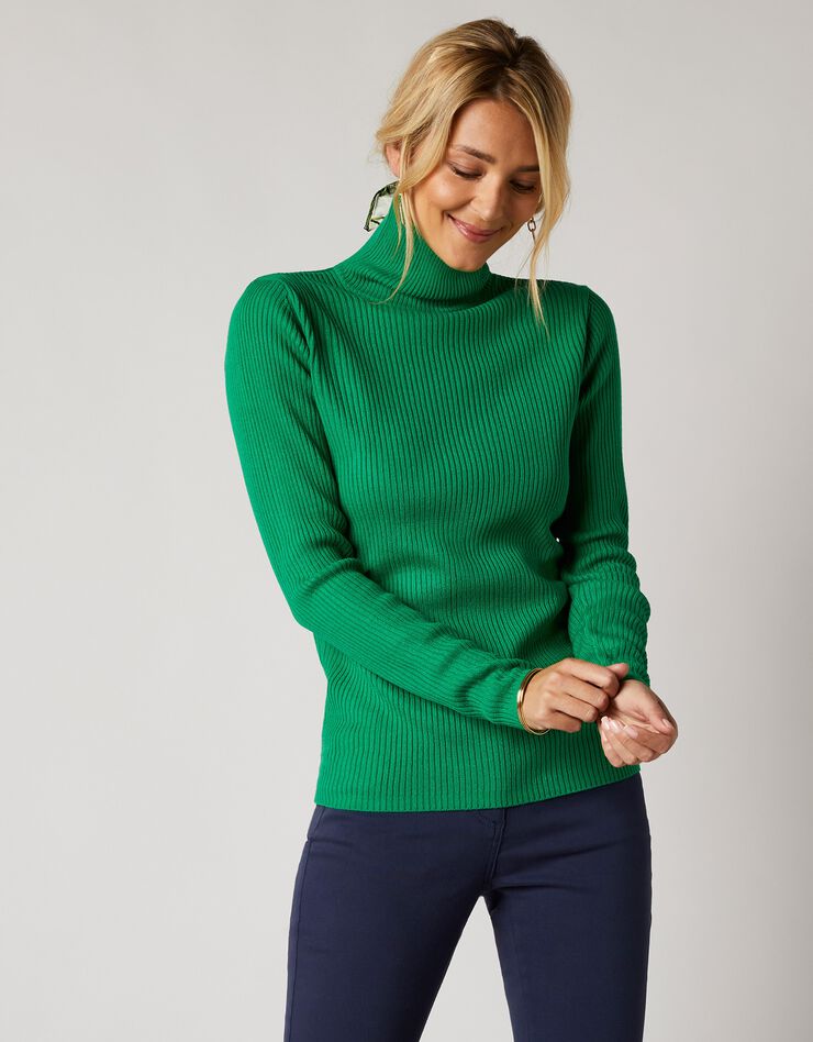 Pull col roulé uni maille côtelée (vert) Pull col roulé uni maille côtelée (vert)