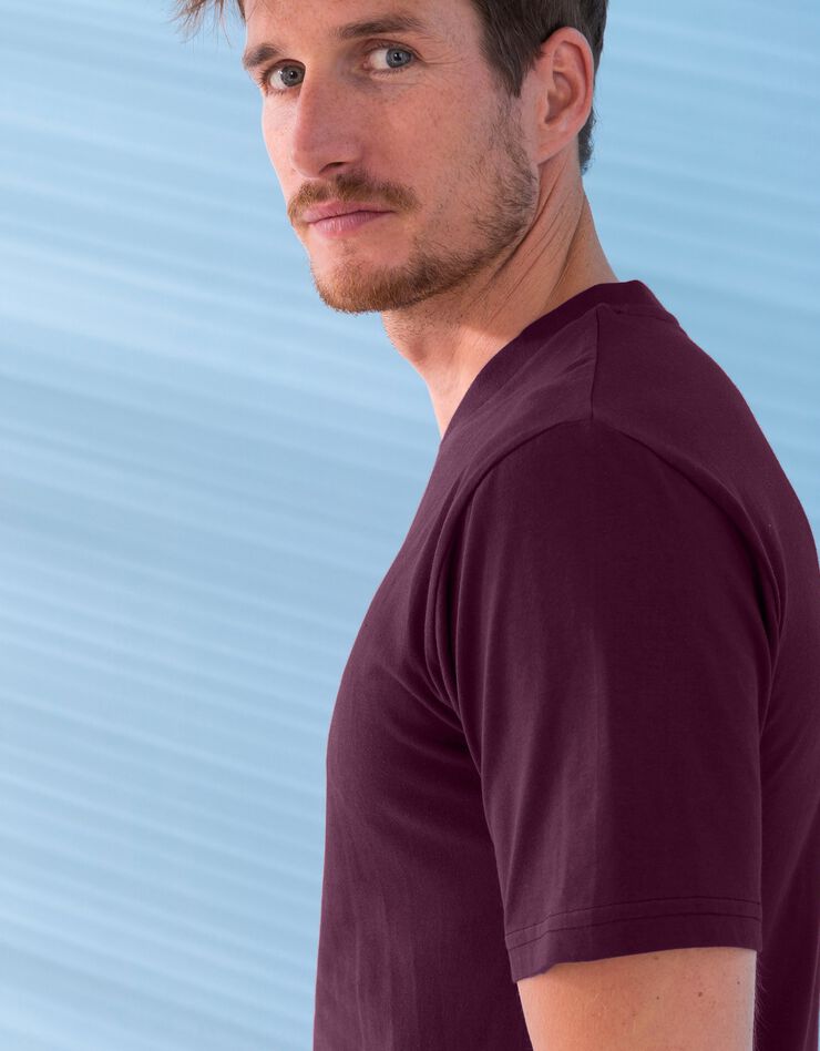 Tee-shirt col V manches courtes - lot de 3 (miel / prune / brique) Tee-shirt col V manches courtes - lot de 3 (miel / prune / brique)