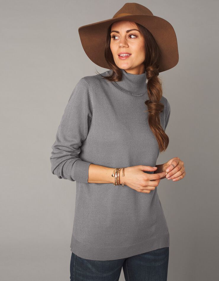Pull col roulé toucher cachemire (gris) Pull col roulé toucher cachemire (gris)