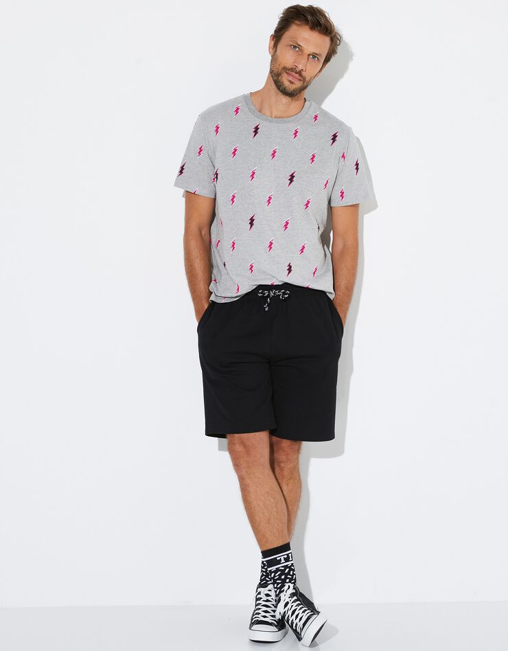 Tee-shirt imprimé homme collection Lulu la nantaise (gris) Tee-shirt imprimé homme collection Lulu la nantaise (gris)