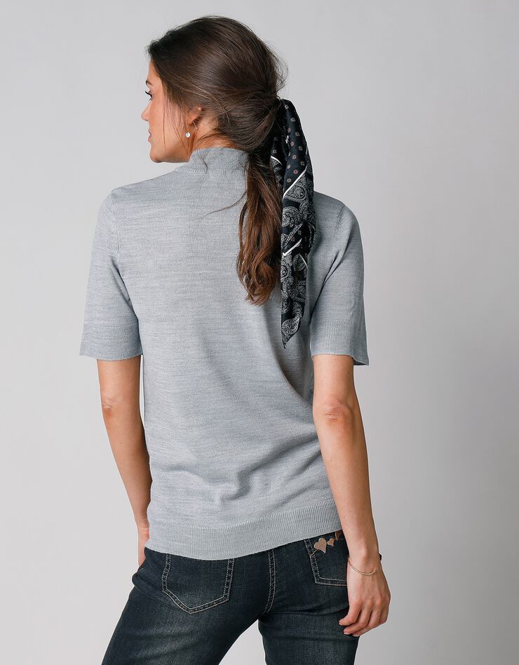 Pull col montant manches courtes toucher cachemire (gris chiné) Pull col montant manches courtes toucher cachemire (gris chiné)