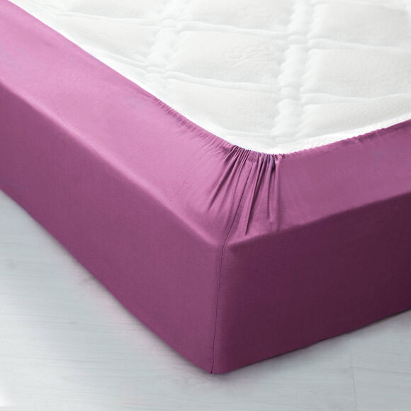 Drap-housse uni polyester - coton bonnet 32 cm (figue)