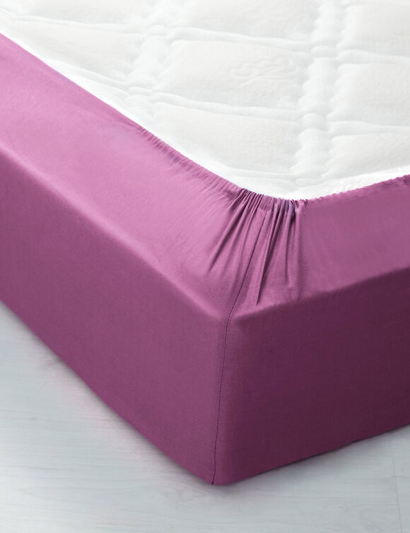 Drap-housse uni polyester - coton bonnet 32 cm (figue)