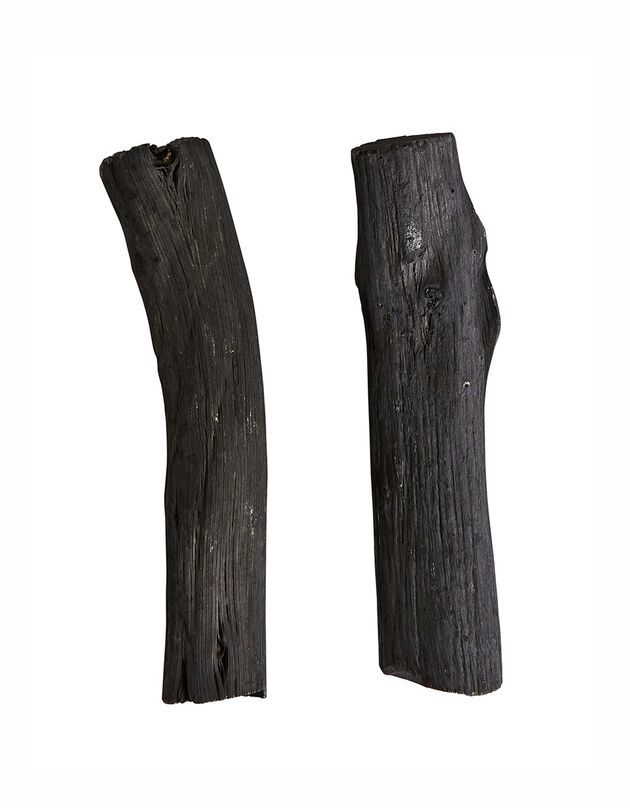 Bâton charbon filtre eau - lot de 2 (noir)